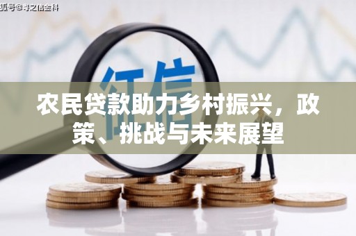 屯溪农民贷款助力乡村振兴，政策、挑战与未来展望