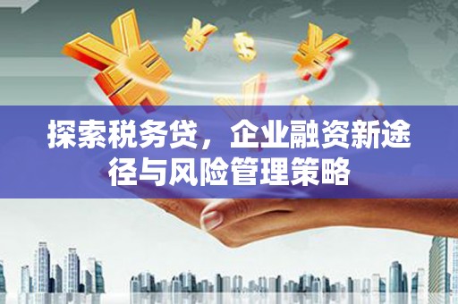 屯溪探索税务贷，企业融资新途径与风险管理策略