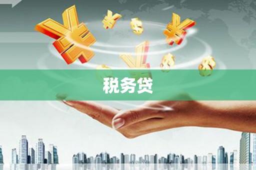 屯溪税务贷