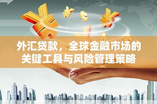 屯溪外汇贷款，全球金融市场的关键工具与风险管理策略