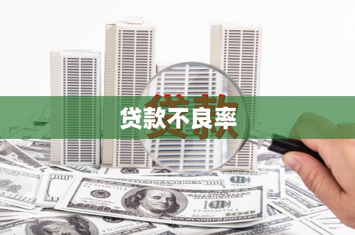屯溪贷款不良率