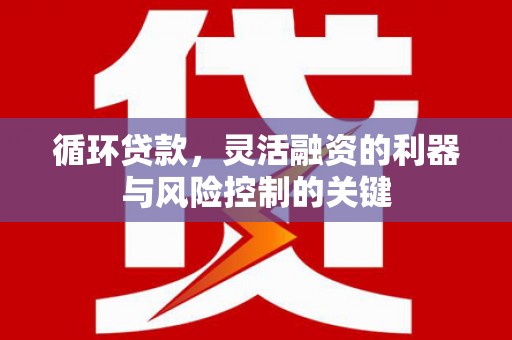 屯溪循环贷款，灵活融资的利器与风险控制的关键