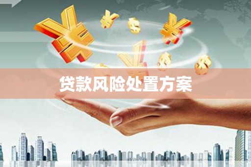 屯溪贷款风险处置方案