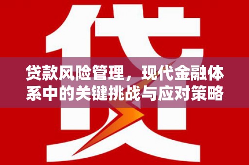 屯溪贷款风险管理，现代金融体系中的关键挑战与应对策略