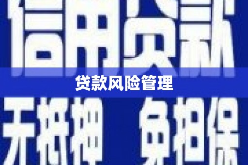 屯溪贷款风险管理
