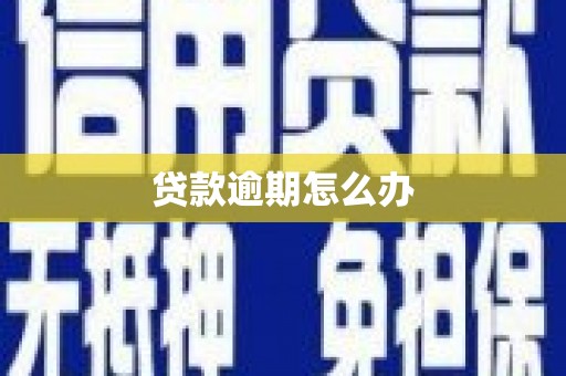 屯溪贷款逾期怎么办