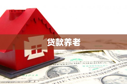 屯溪贷款养老
