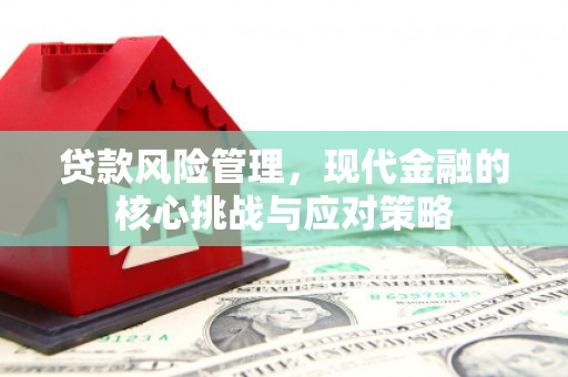 屯溪贷款风险管理，现代金融的核心挑战与应对策略