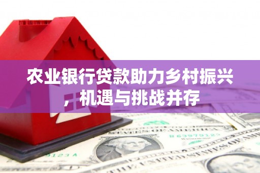 屯溪农业银行贷款助力乡村振兴，机遇与挑战并存