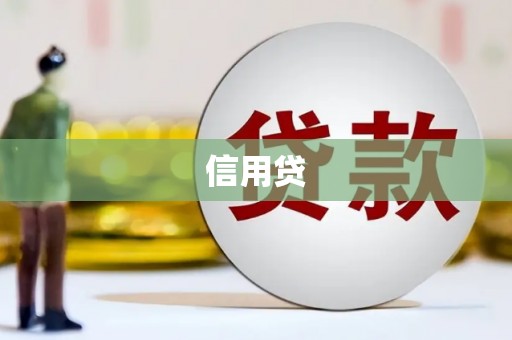 屯溪信用贷