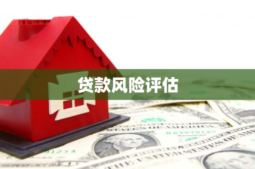 屯溪贷款风险评估