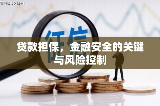 屯溪贷款担保，金融安全的关键与风险控制