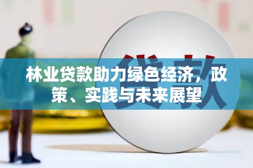 屯溪林业贷款助力绿色经济，政策、实践与未来展望