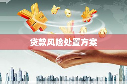 屯溪贷款风险处置方案
