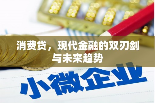 屯溪消费贷，现代金融的双刃剑与未来趋势