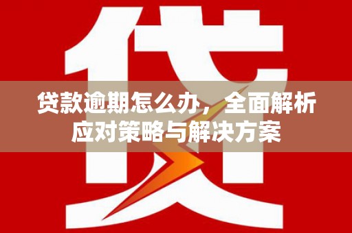屯溪贷款逾期怎么办，全面解析应对策略与解决方案