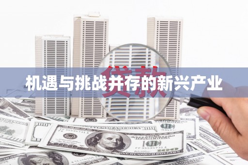 屯溪机遇与挑战并存的新兴产业