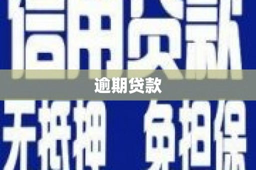屯溪逾期贷款