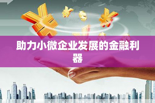 屯溪助力小微企业发展的金融利器