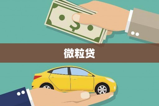 屯溪微粒贷