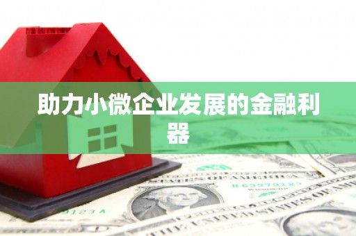屯溪助力小微企业发展的金融利器