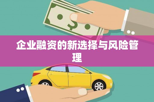 屯溪企业融资的新选择与风险管理