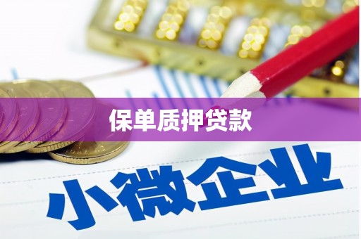 屯溪保单质押贷款