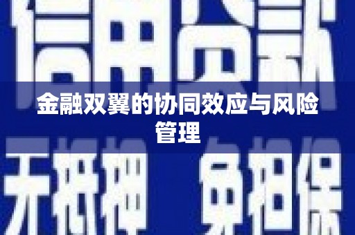 屯溪金融双翼的协同效应与风险管理