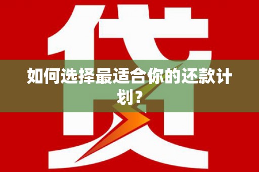 屯溪如何选择最适合你的还款计划？