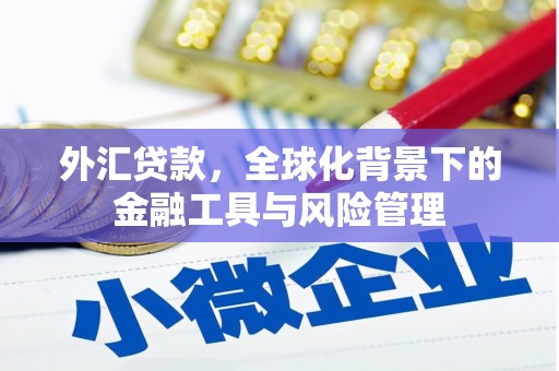 屯溪外汇贷款，全球化背景下的金融工具与风险管理